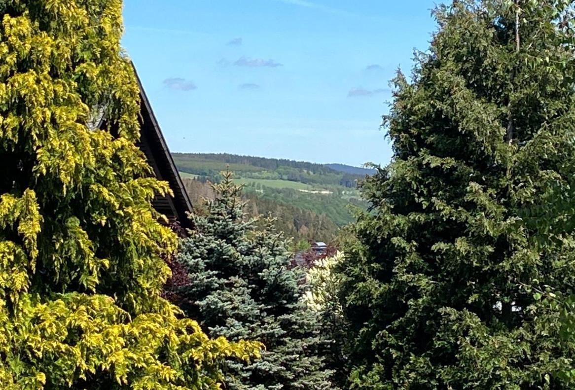Ferienwohnung Kleine Auszeit Winterberg Fuer 2- 4 Personen Экстерьер фото